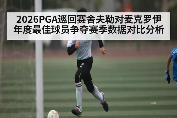 2026PGA巡回赛舍夫勒对麦克罗伊年度最佳球员争夺赛季数据对比分析